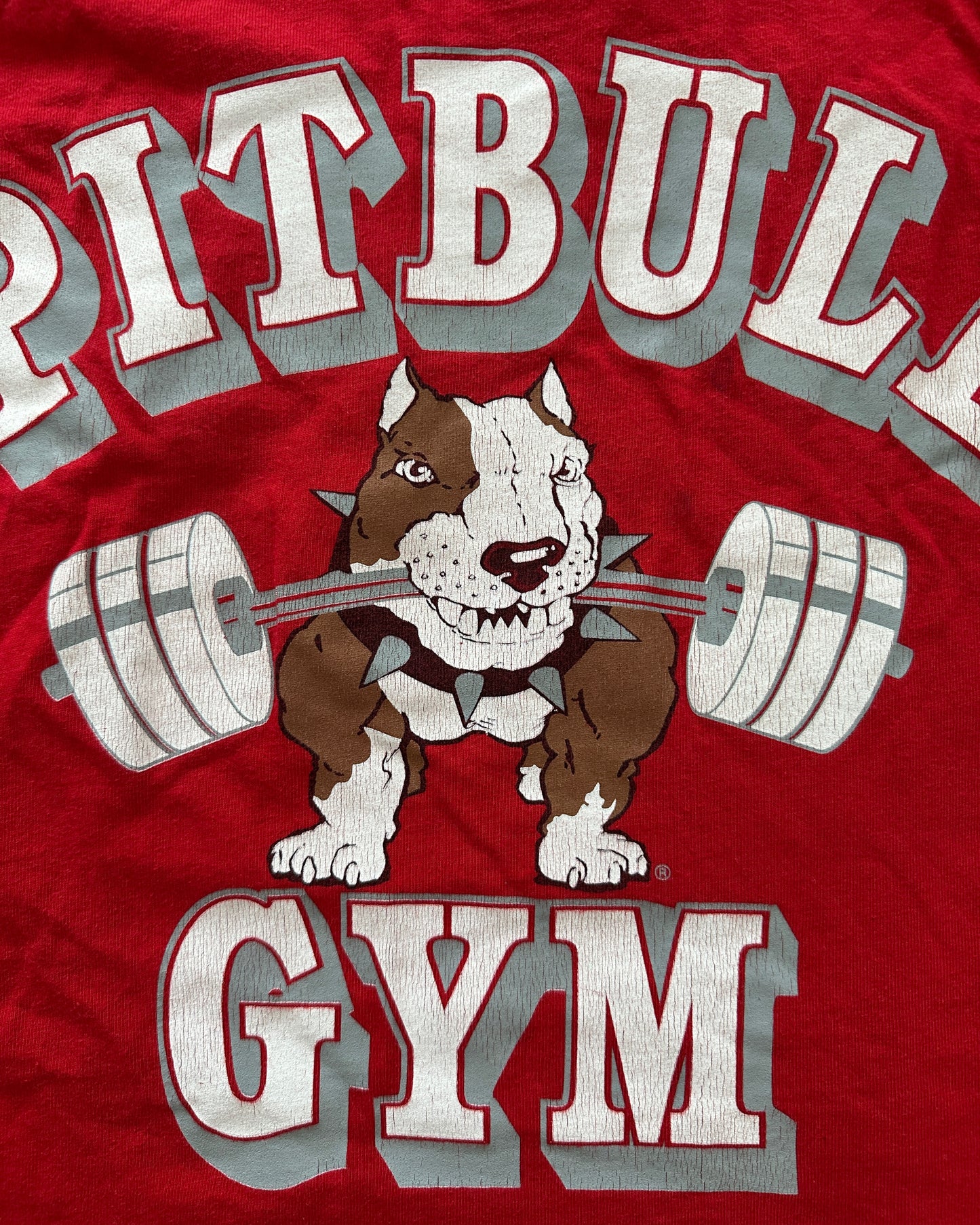Pitbull Gym Vintage Stringer Workout Top - M - Made in USA